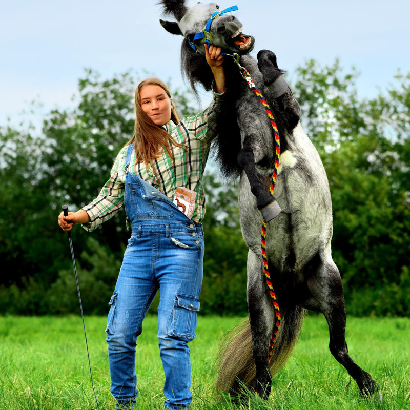 Himalayan Nature 100 Natural Himalayan Rock Salt Block, Horses & Deer